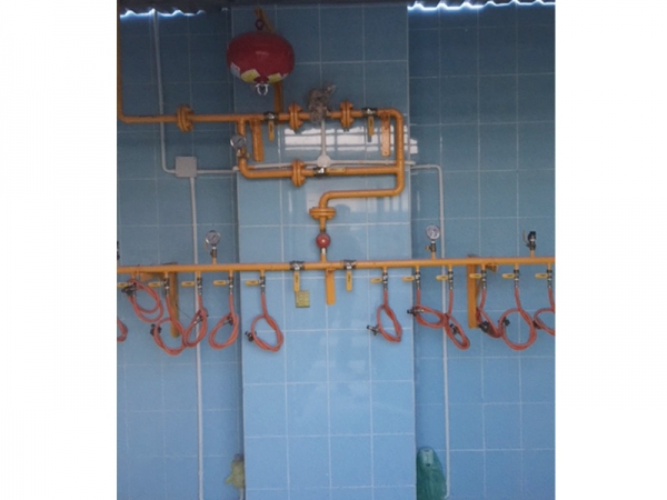 Gas system