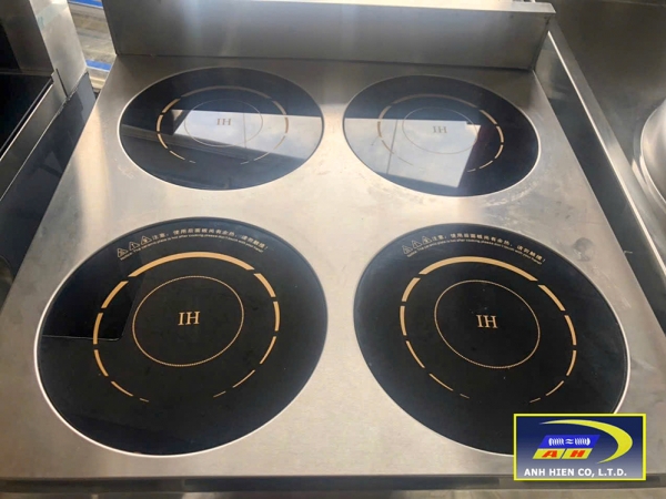 Industrial induction cooker