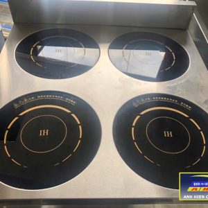 Industrial induction cooker 04