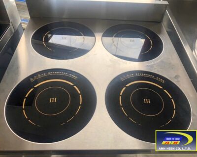 Industrial induction cooker 04