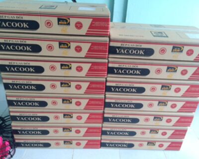 Double gas stove YACOOK